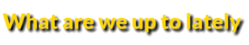 What are we up to lately