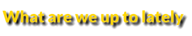 What are we up to lately